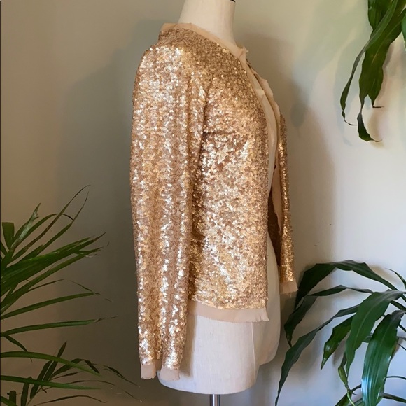 ✨bebe - Matte Sequine and Chiffon Top - Medium - Picture 4 of 11